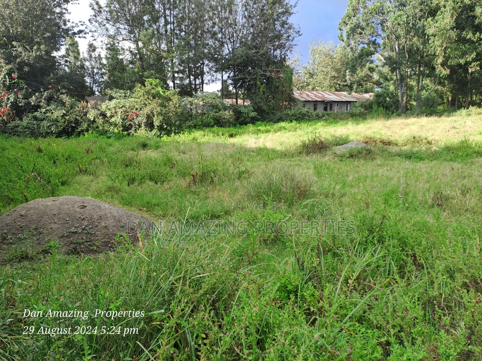 1/4 Acre for Sale in Ngong Memusi 2nd Row From the Tarmac in Matasia
