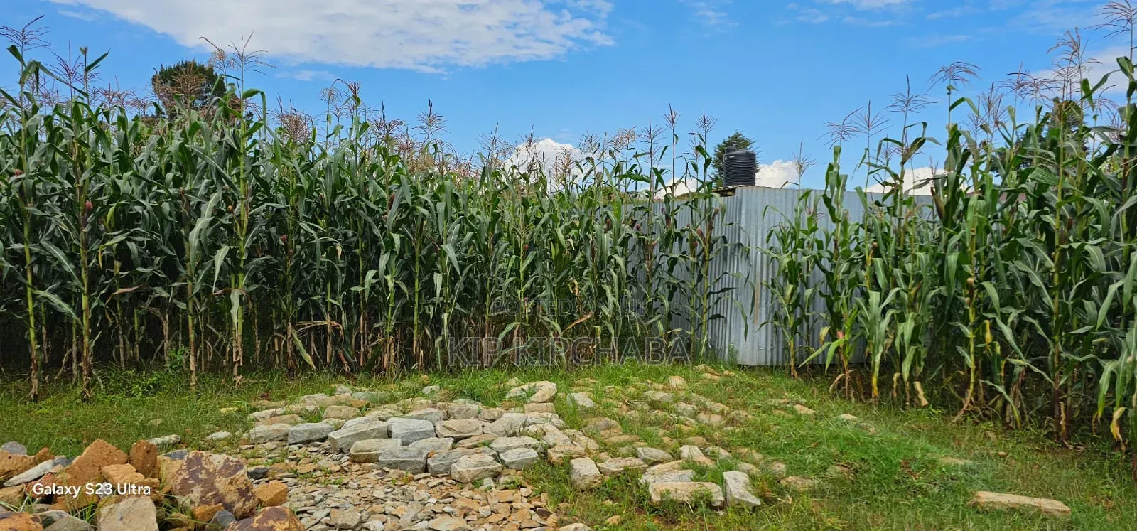 1⁄4 Plot for Sale in Illula Eldoret City in Illula