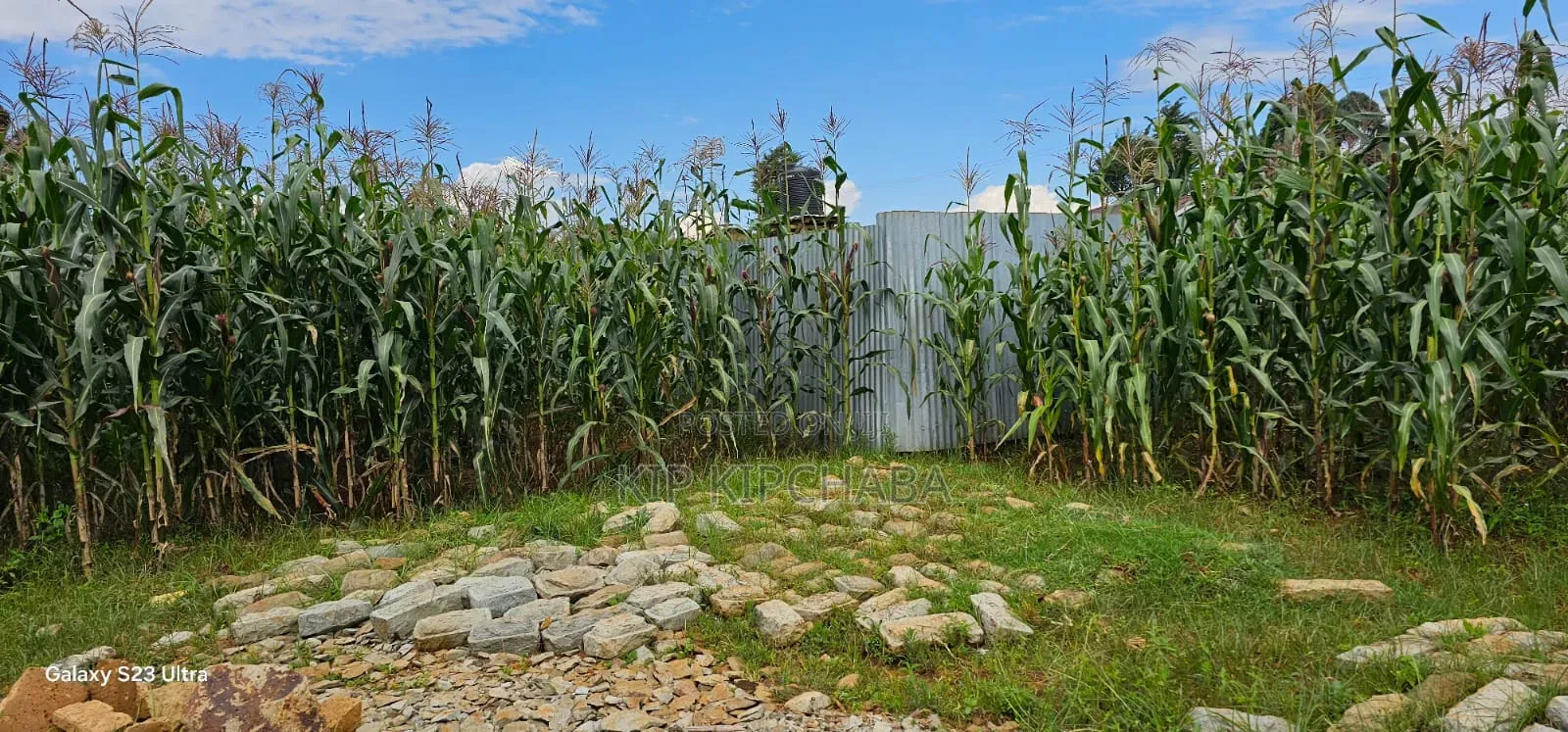 1⁄4 Plot for Sale in Illula Eldoret City in Illula