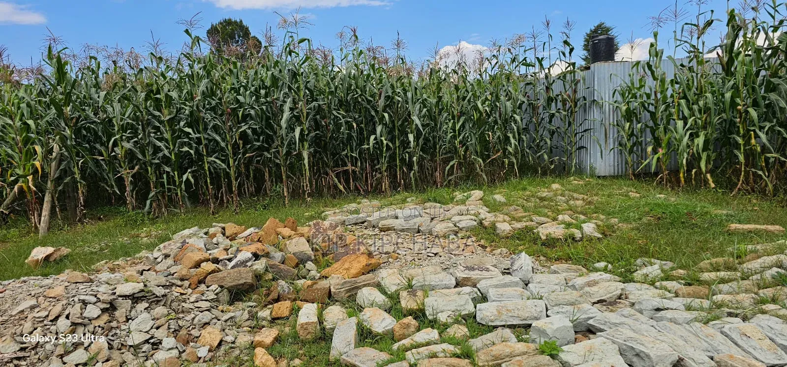 1⁄4 Plot for Sale in Illula Eldoret City in Illula