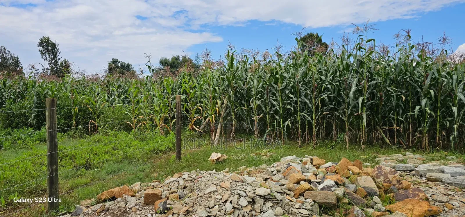 1⁄4 Plot for Sale in Illula Eldoret City in Illula