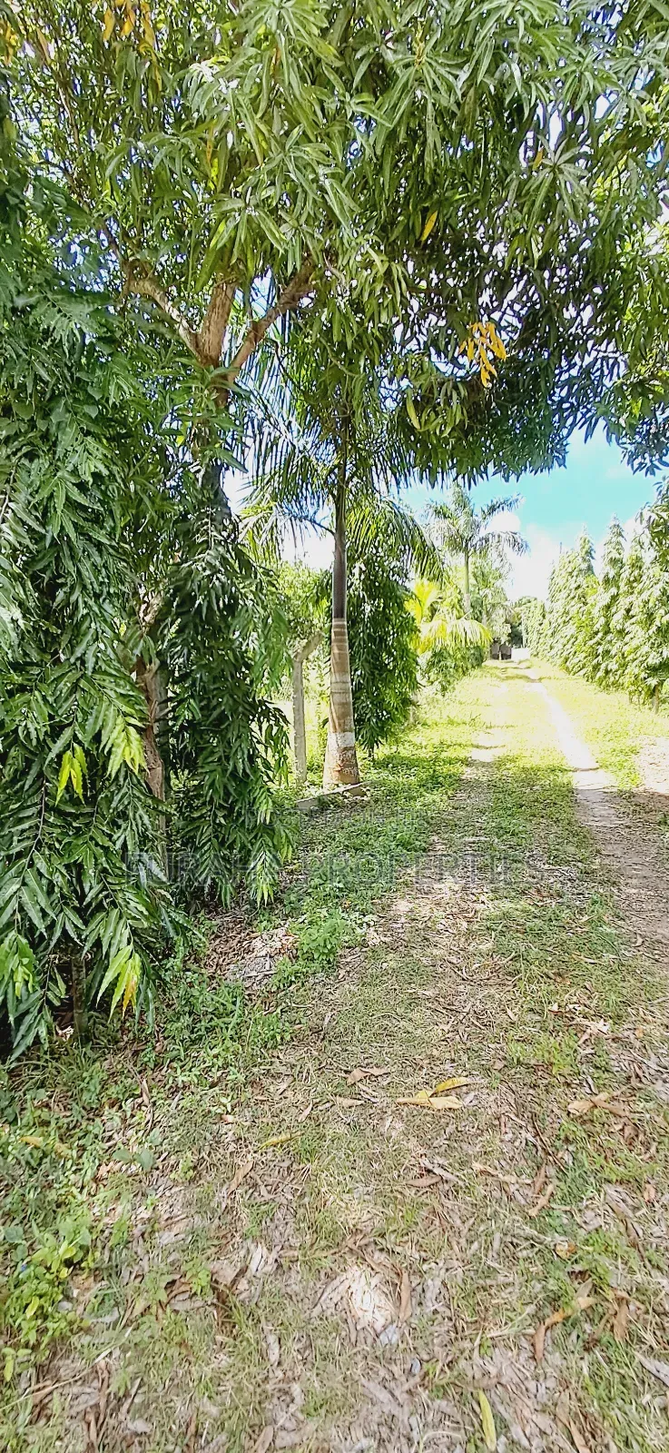 For Sale Quater Acre Plot Mtwapa. in Mtwapa