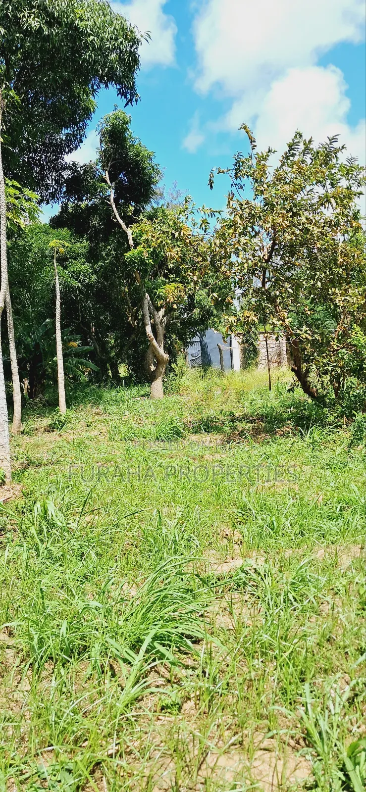 For Sale Quater Acre Plot Mtwapa. in Mtwapa