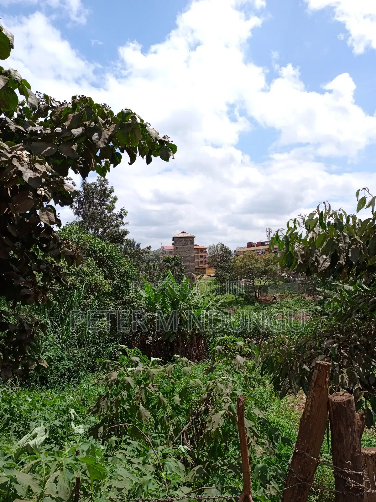 Kiamumbi Pime 100*100, Title in Kiambu / Kiambu