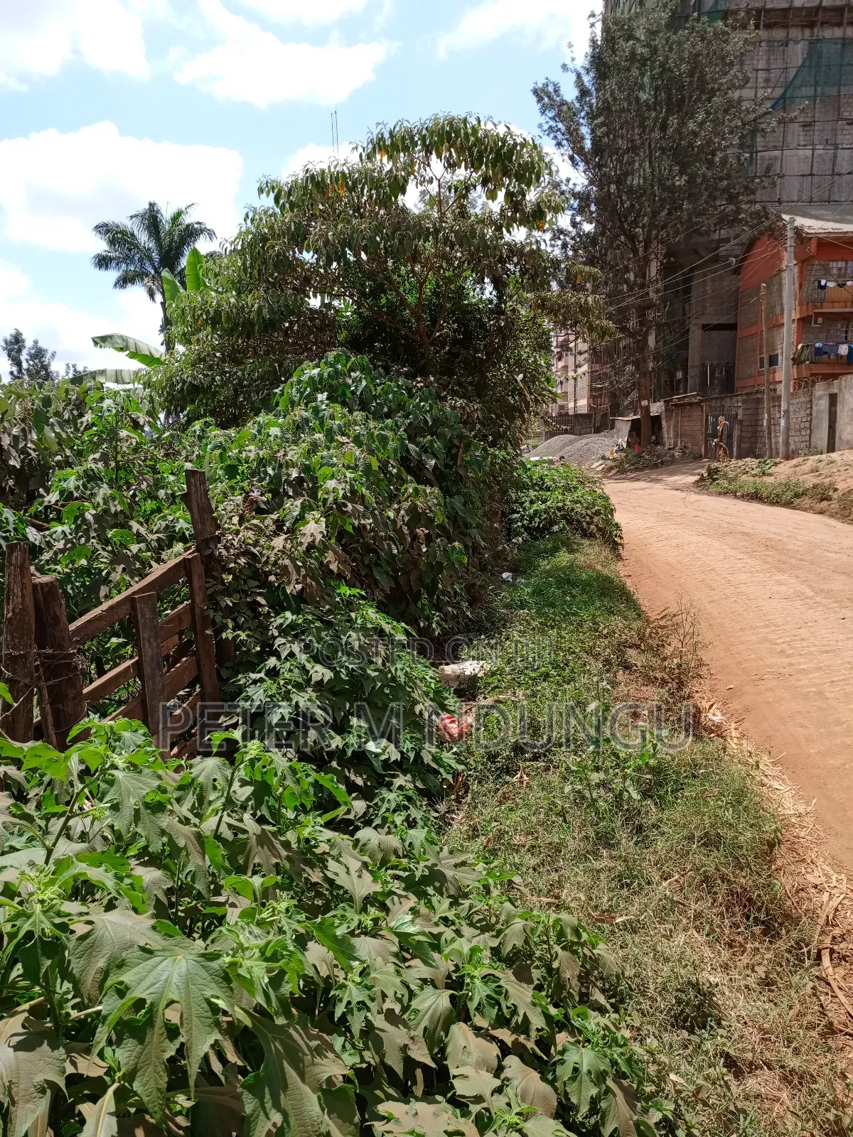 Kiamumbi Pime 100*100, Title in Kiambu / Kiambu