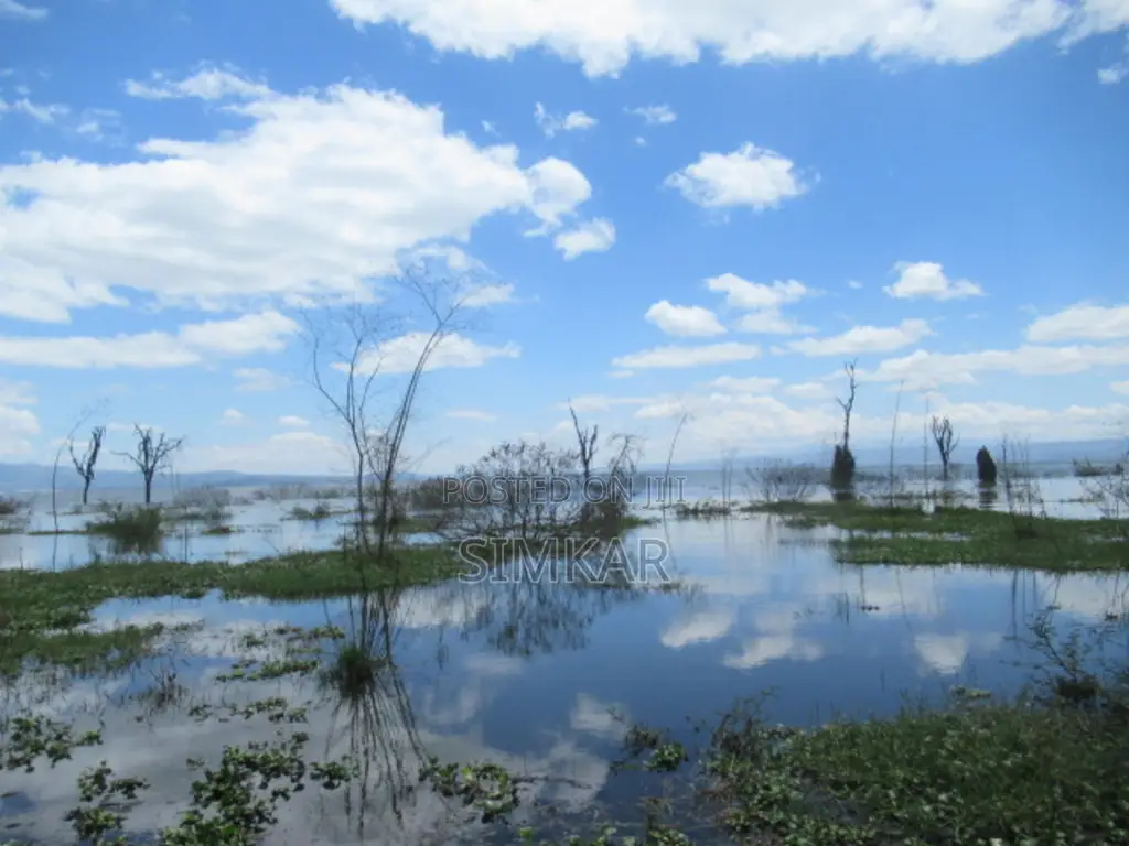 25 Acres of Land in Lake Naivasha in OlKaria
