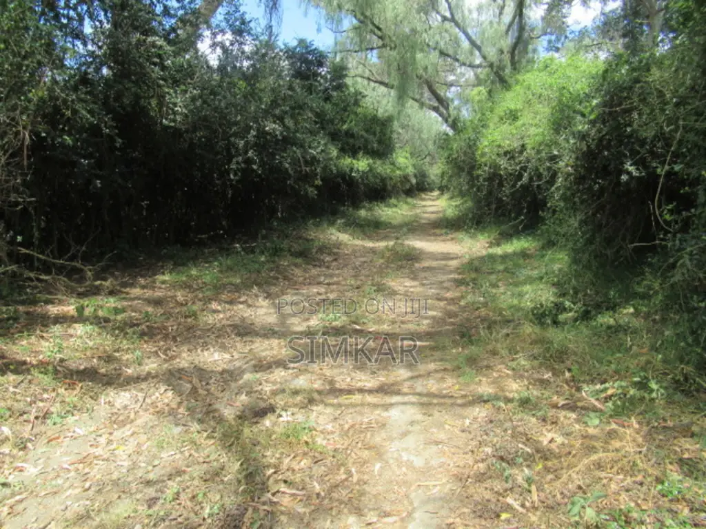 25 Acres of Land in Lake Naivasha in OlKaria