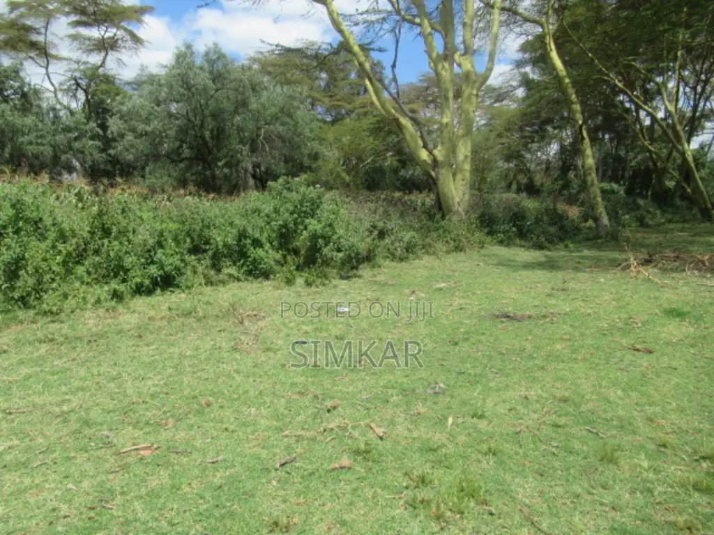 25 Acres of Land in Lake Naivasha in OlKaria