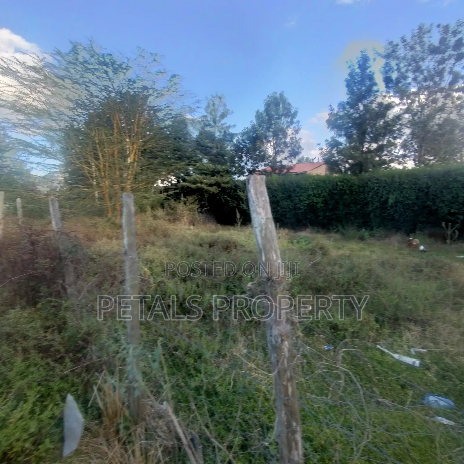 1/4 Plot for Sale in Ongata Rongai in Maasai Lodge