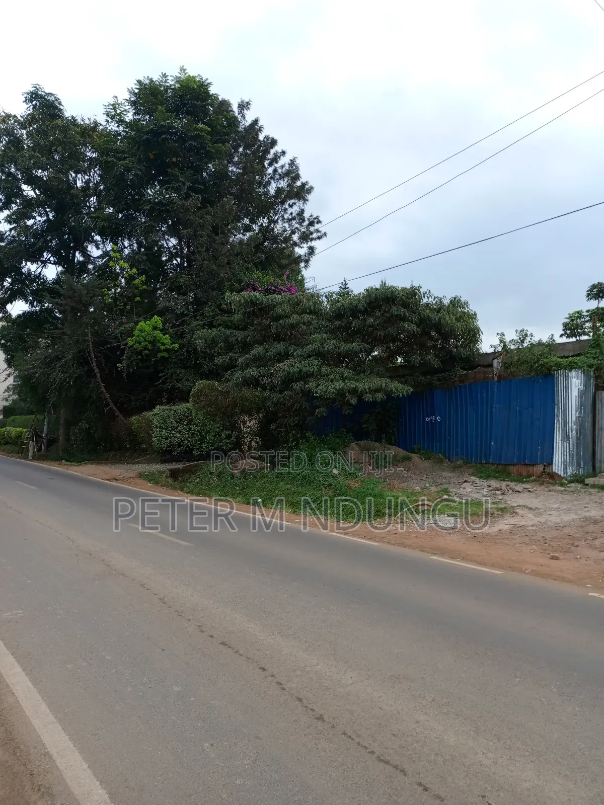 Prime 1/2 Acre Touching Mirema Road in Kiambu / Kiambu