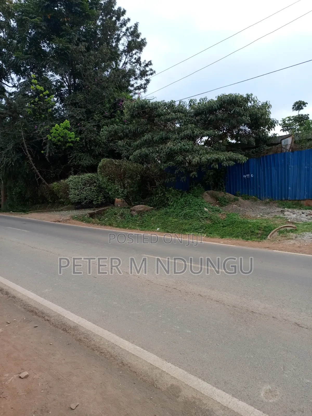 Prime 1/2 Acre Touching Mirema Road in Kiambu / Kiambu