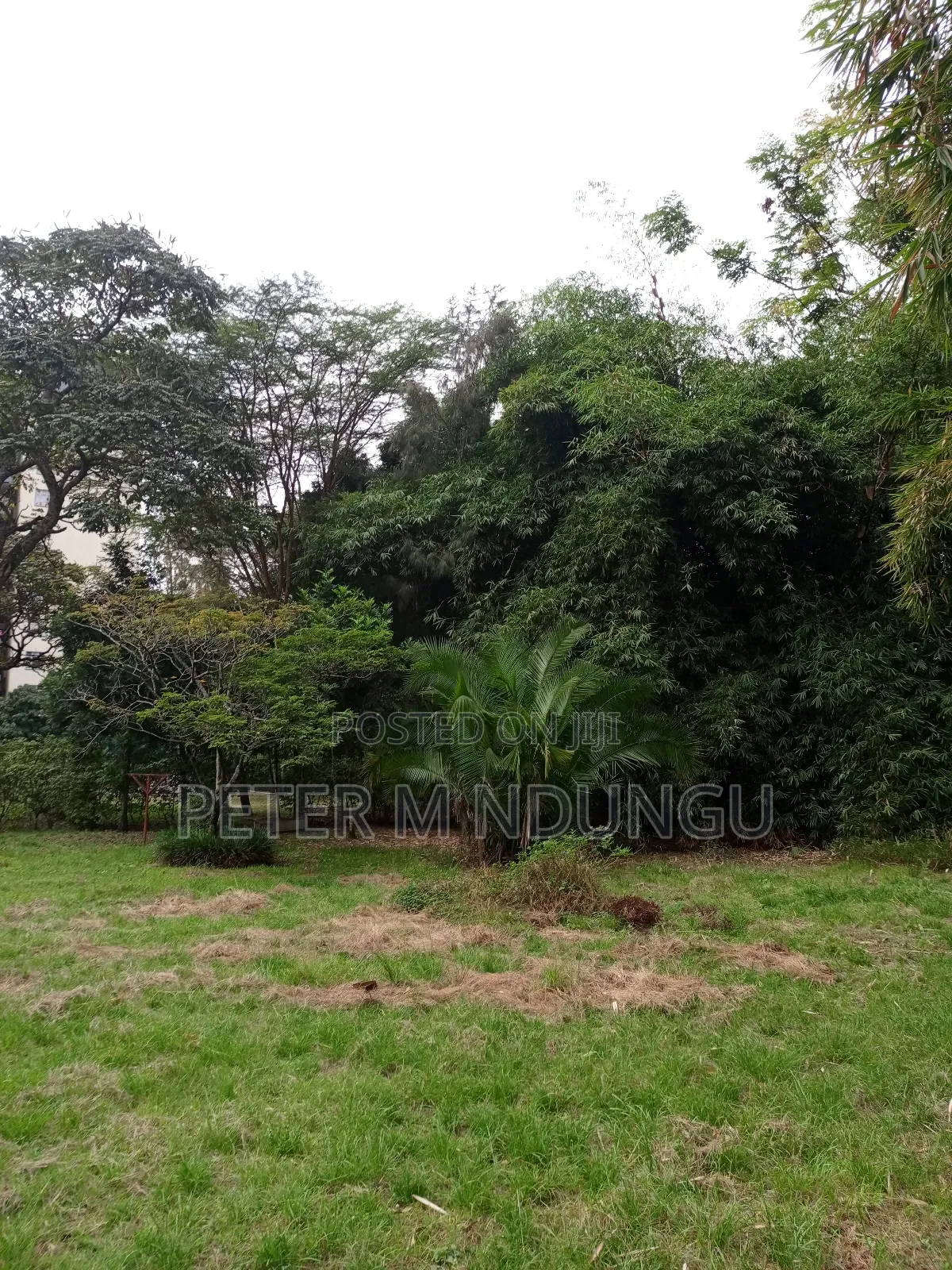 Prime Land on Sale, 0.75 Acre Behind Safari Park in Ruaraka