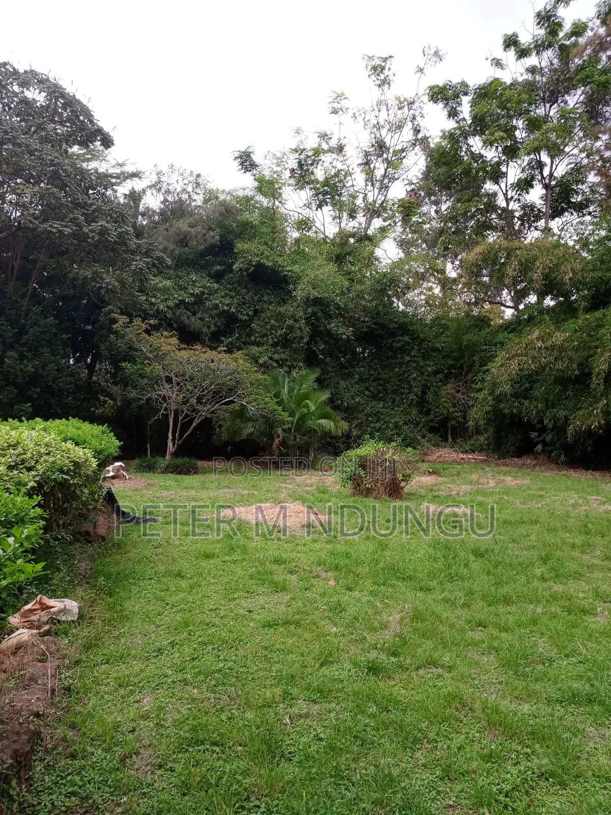 Prime Land on Sale, 0.75 Acre Behind Safari Park in Ruaraka