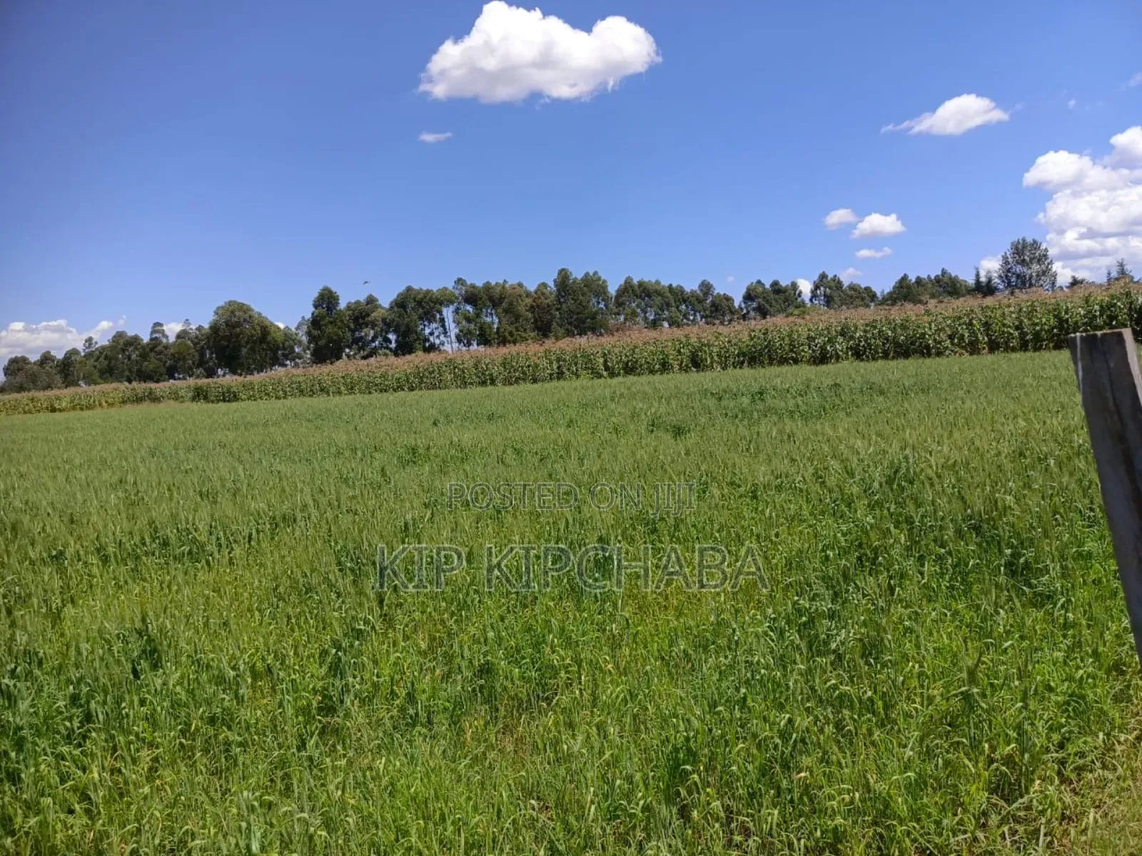 40 Acres Primeland for Sake in Merewet Eldoret in Kuinet