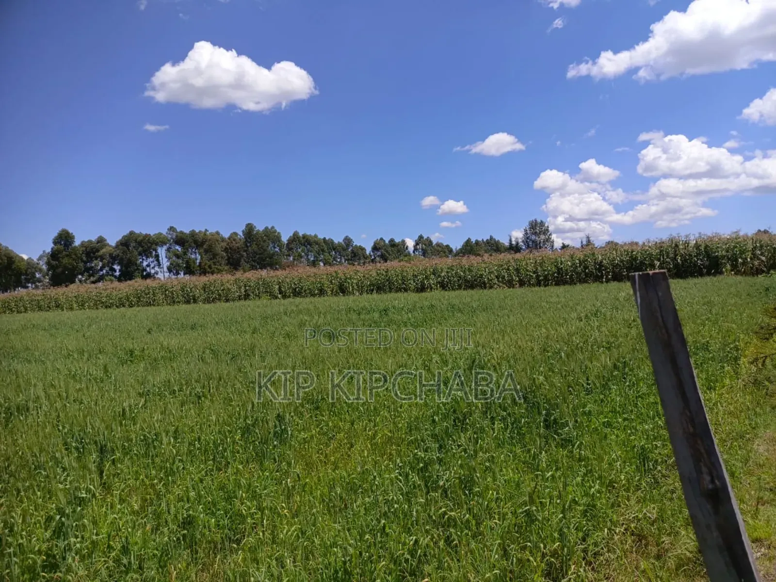 40 Acres Primeland for Sake in Merewet Eldoret in Kuinet