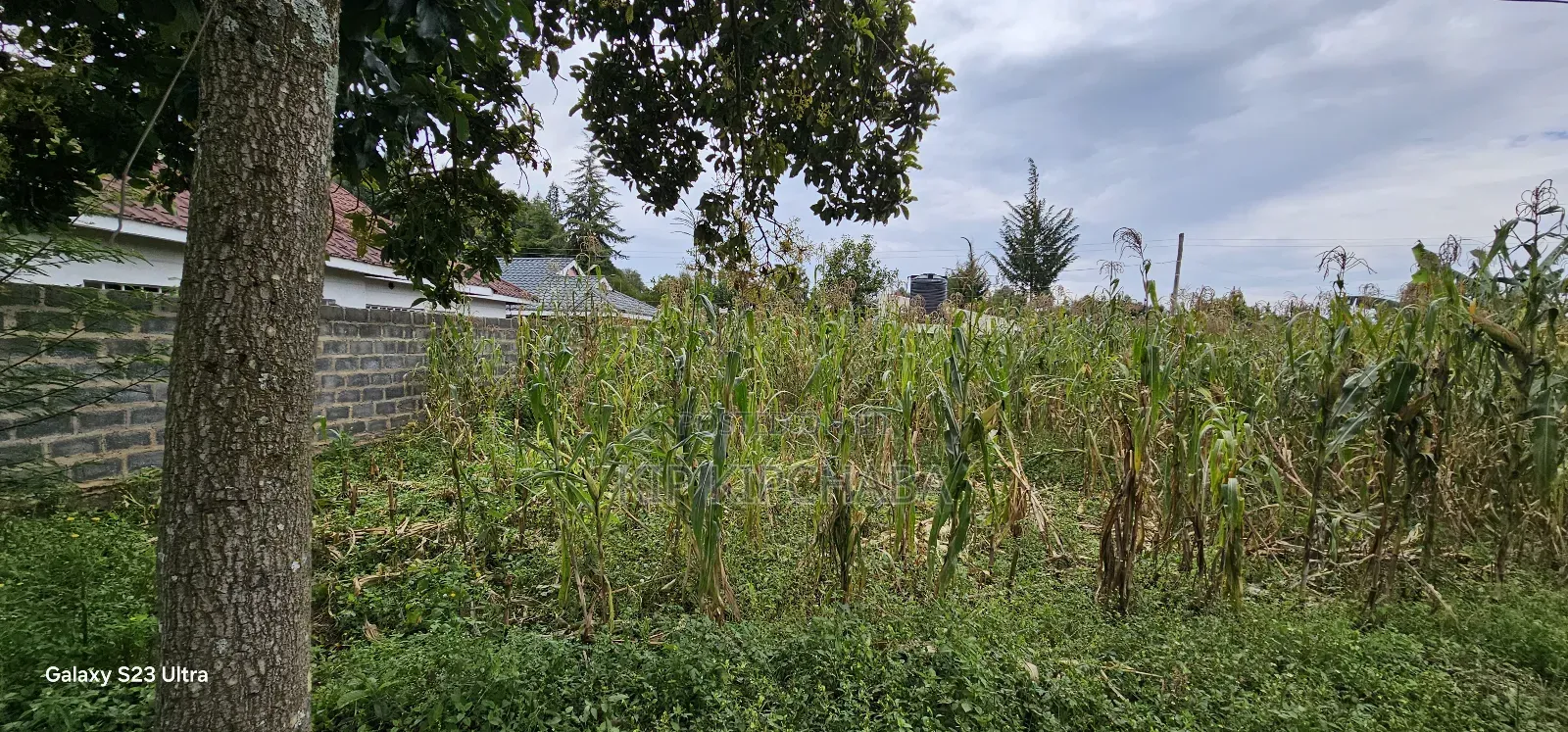 40 Acres Primeland for Sake in Merewet Eldoret in Kuinet