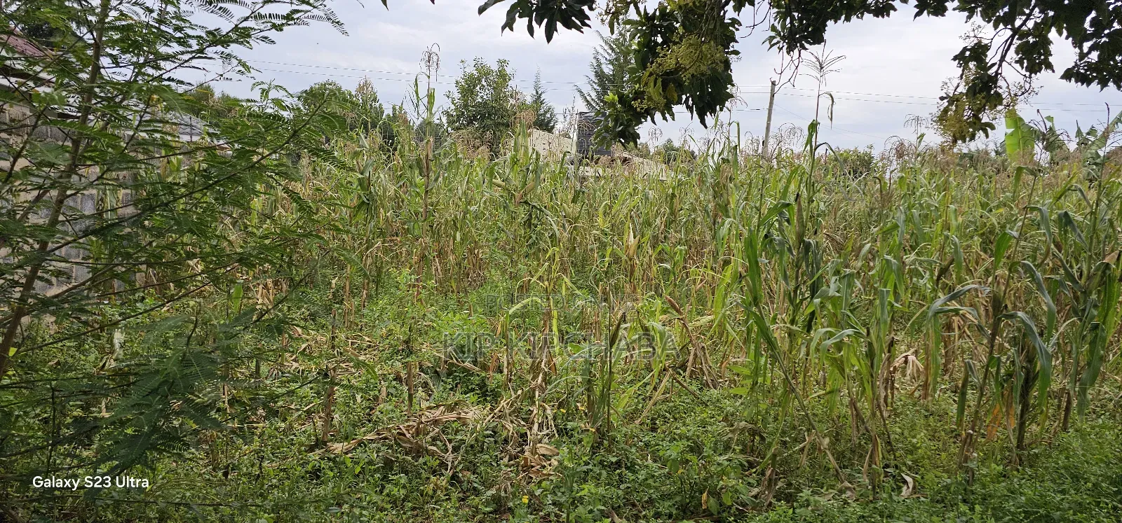 40 Acres Primeland for Sake in Merewet Eldoret in Kuinet