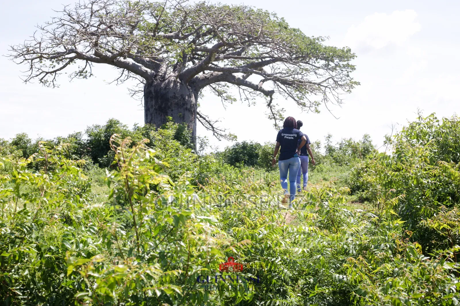 Malindi Phase One Prime Plots for Sale in Kilifi Town