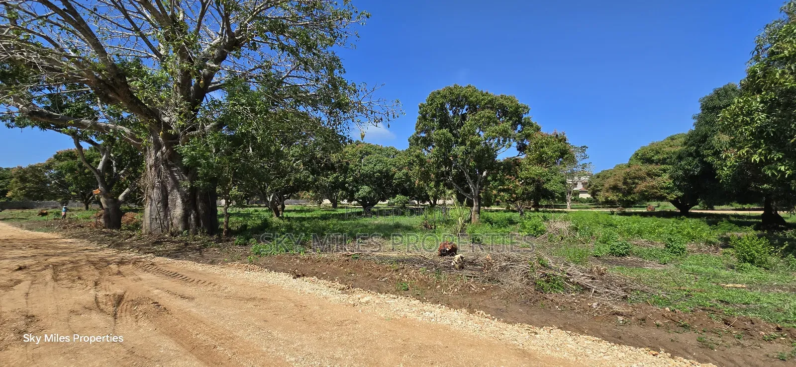 Kikambala, Prime Plots for Sale in Kikambala