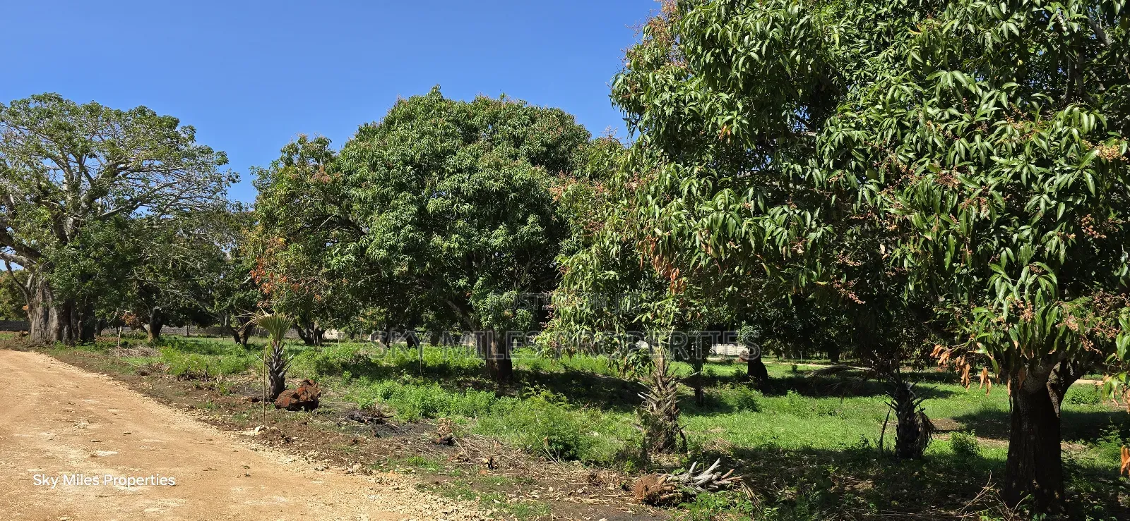 Kikambala, Prime Plots for Sale in Kikambala