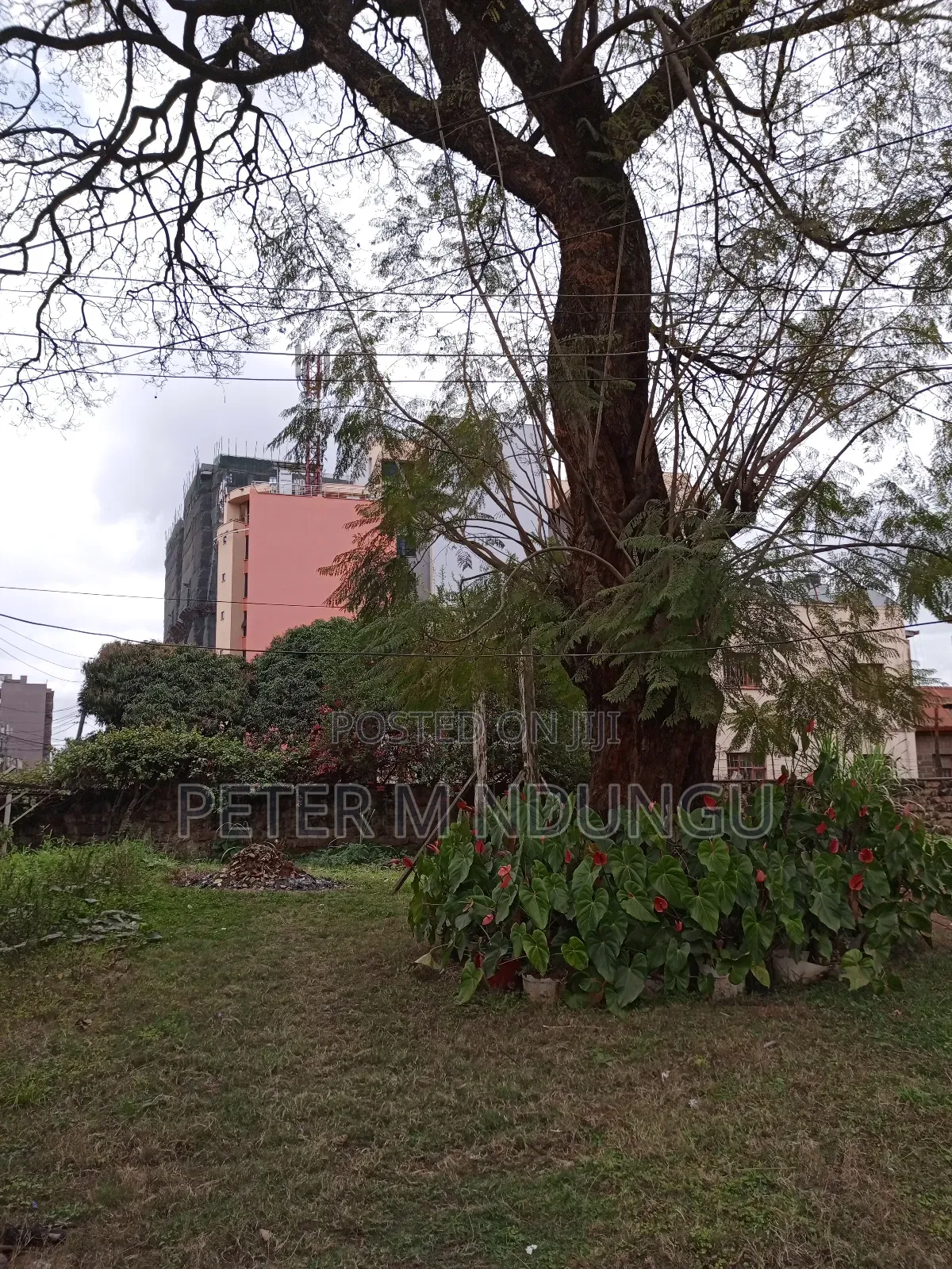 Prime Land 1/2 Acre Touching Ngara Road, Title in Ngara