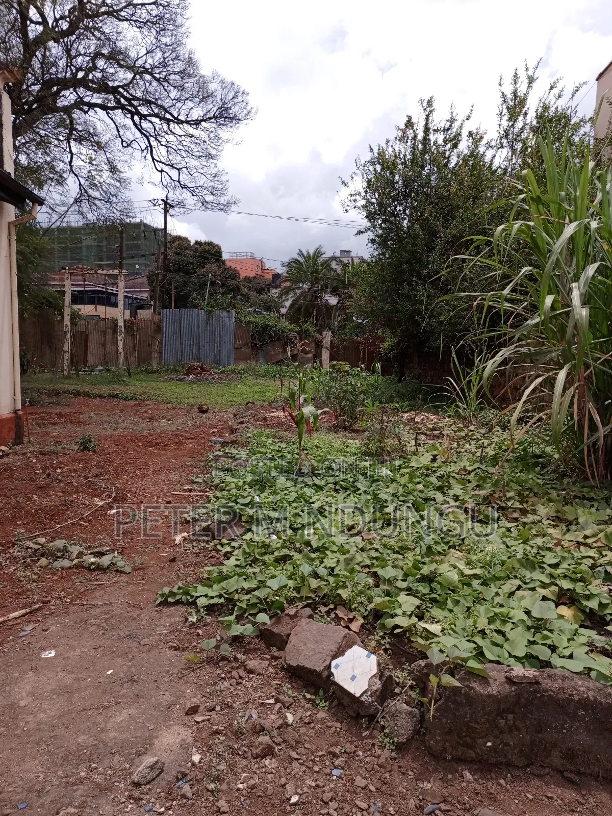 Prime Land 1/2 Acre Touching Ngara Road, Title in Ngara