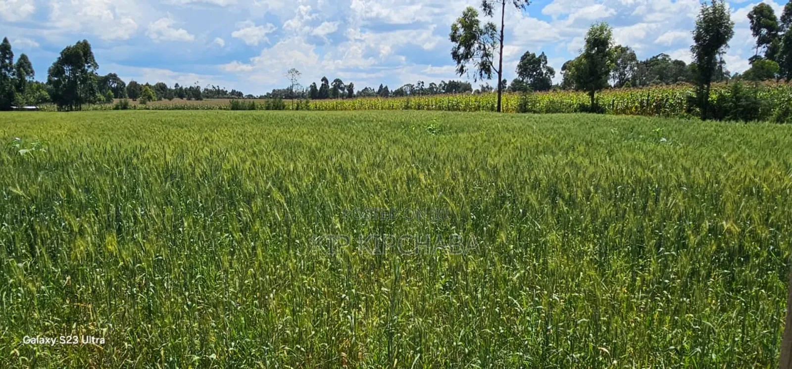 2.5 Acres Fully Arable for Sale in Kiplombe in Eldoret Kiili in Kiplombe