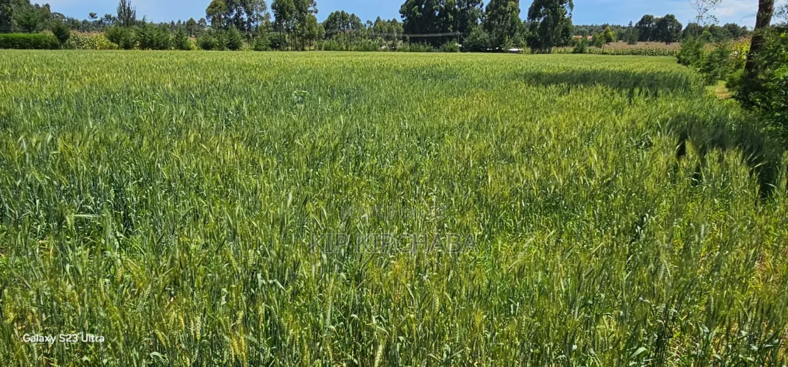 2.5 Acres Fully Arable for Sale in Kiplombe in Eldoret Kiili in Kiplombe