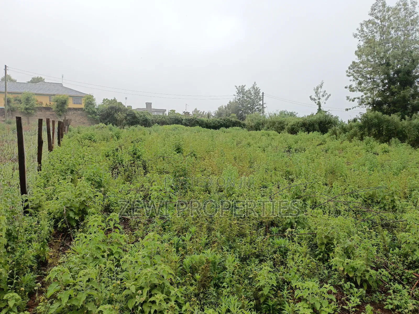 1/4 Upper Matasia Ngong in Ngong