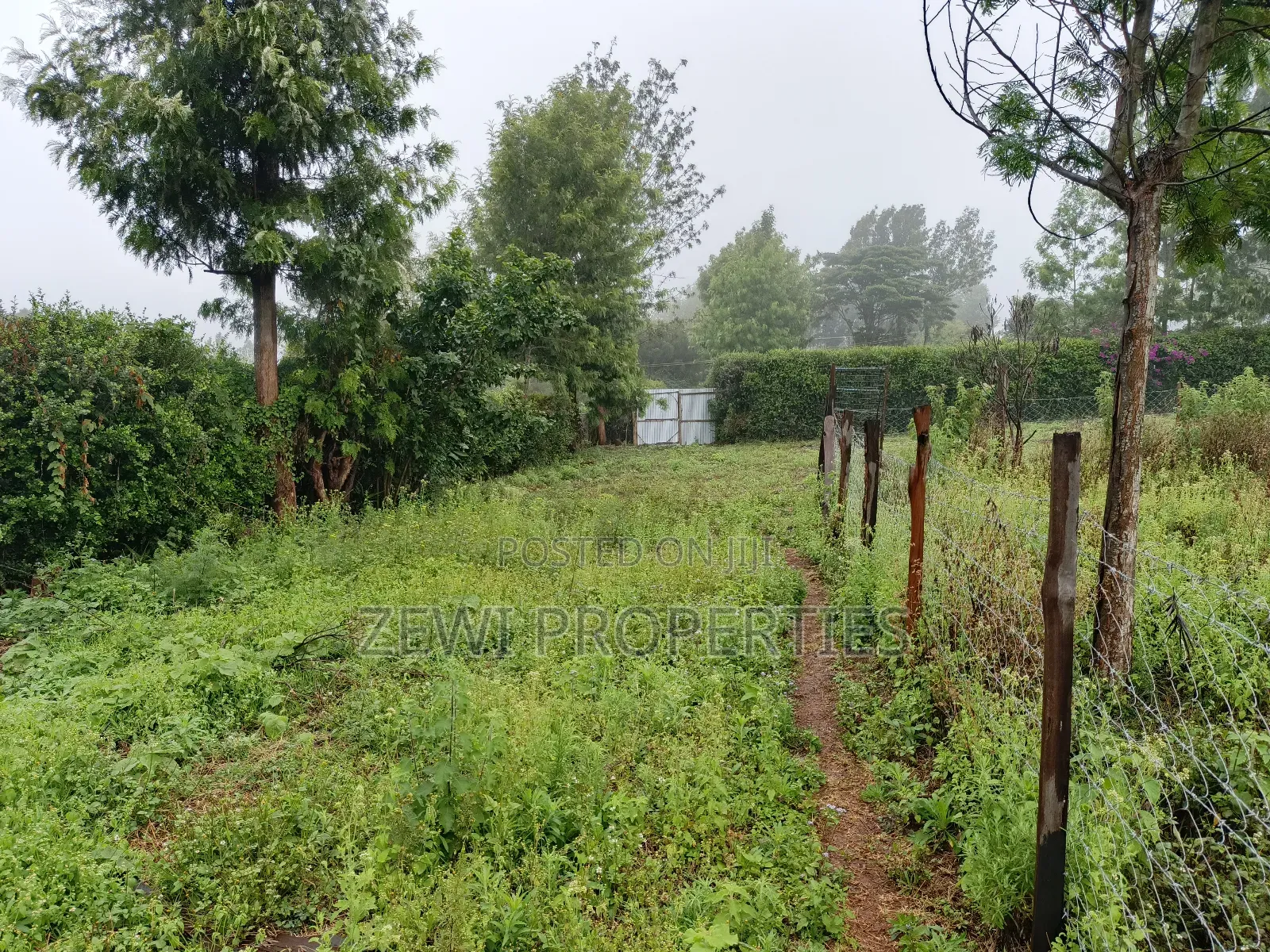 1/4 Upper Matasia Ngong in Ngong