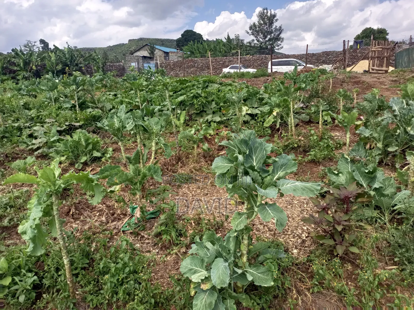 Land for Sale in Gilgil Diatomite in Nakuru Town East