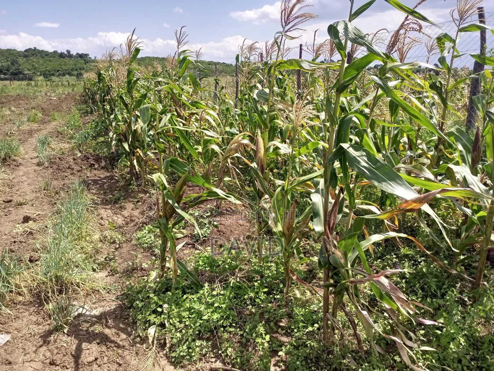 Land for Sale in Gilgil Diatomite in Nakuru Town East