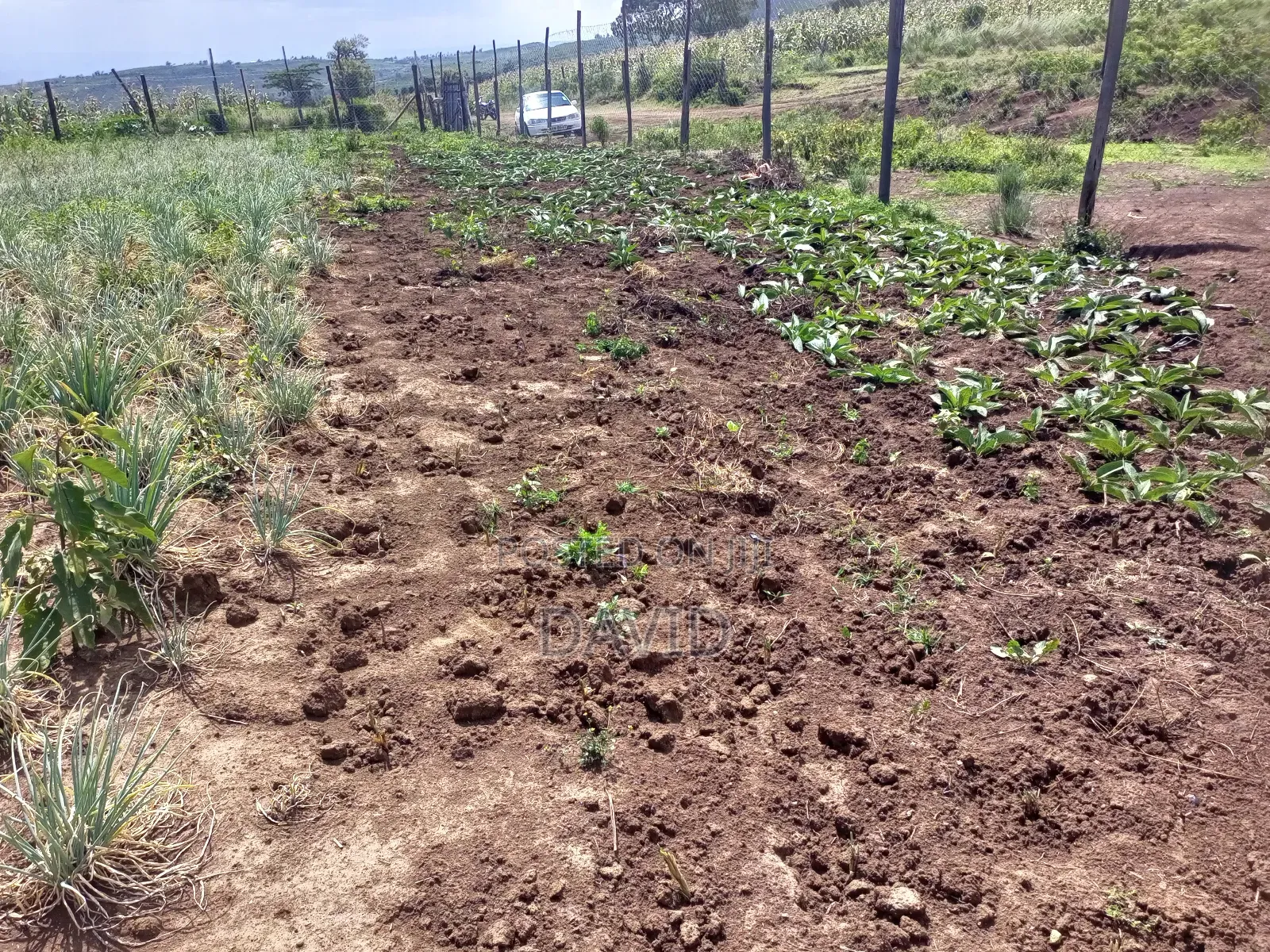Land for Sale in Gilgil Diatomite in Nakuru Town East