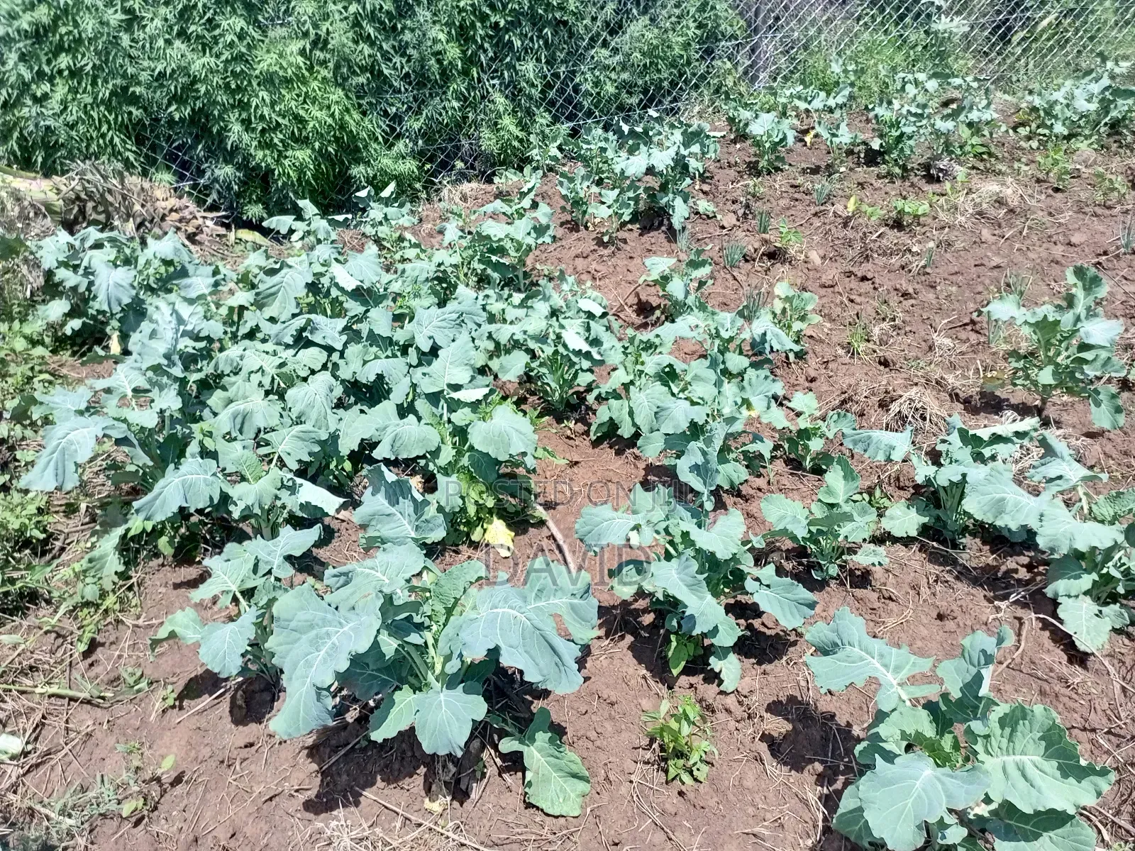 Land for Sale in Gilgil Diatomite in Nakuru Town East