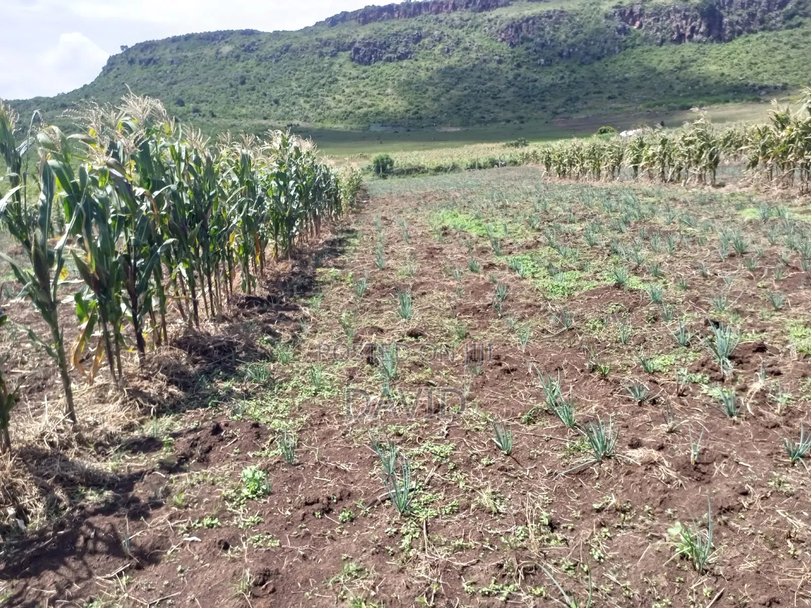 Land for Sale in Gilgil Diatomite in Nakuru Town East