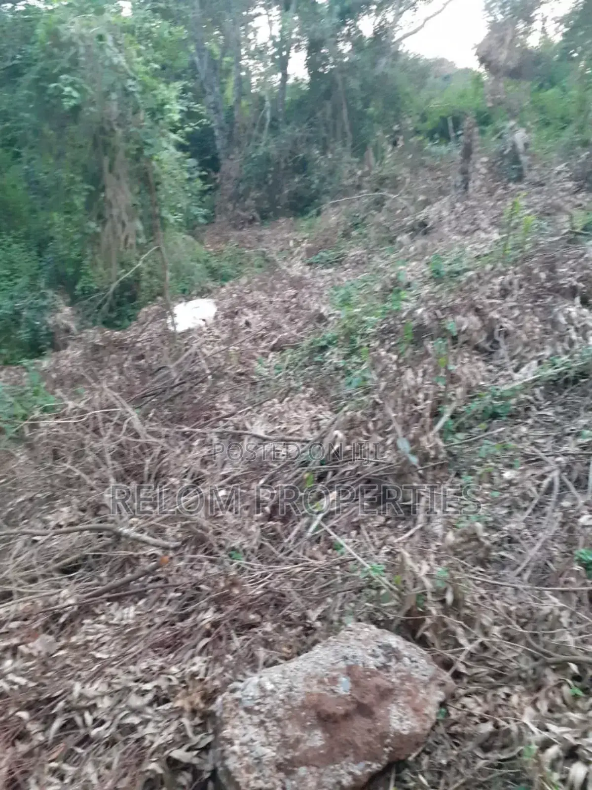 5 Acres of Prime Land for Commercial or Residential in Karen in Karen