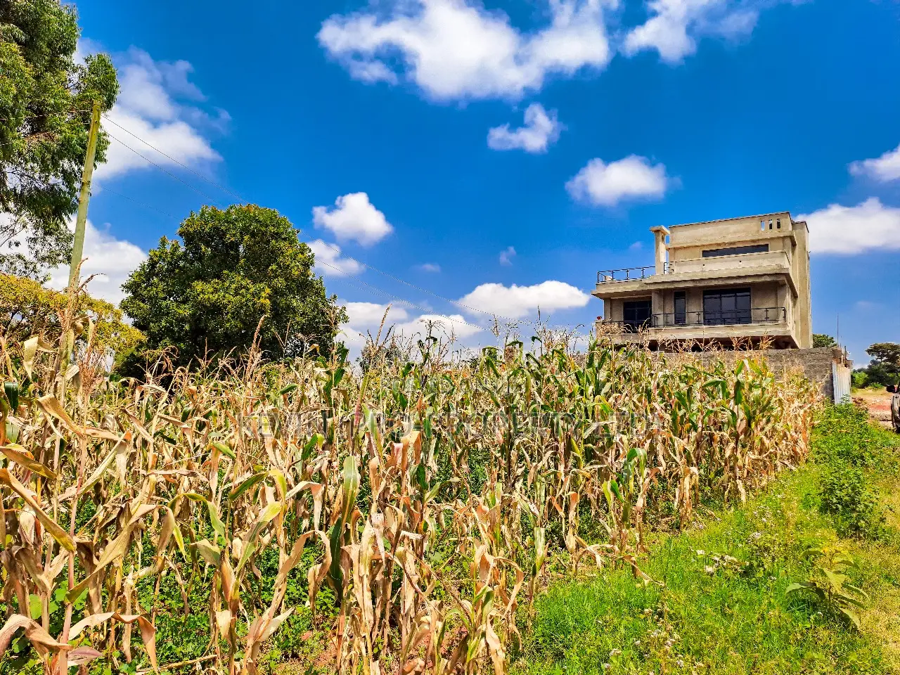 Residential Plot for Sale Kikuyu, Gikambura in Kikuyu