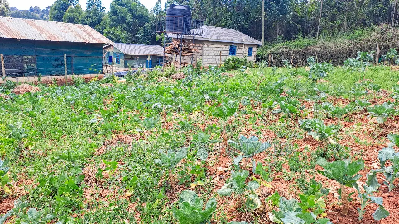Plot for Sale in Kikuyu, Karai (Migumoini Area) in Kikuyu