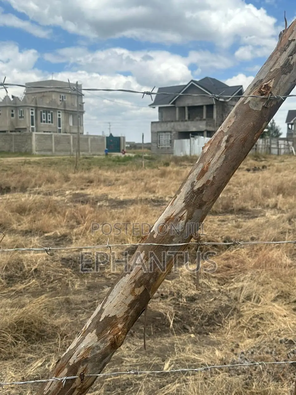 Kamakis Plots in Kamakis