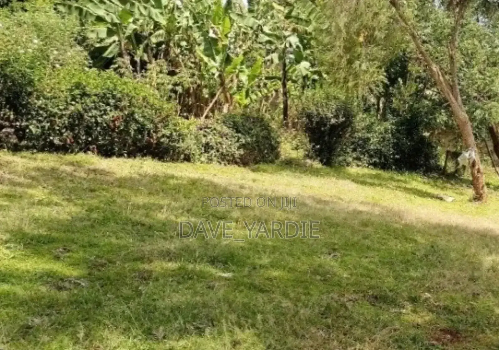 40 by 60 Plot in Njoro, Nakuru in Njoro