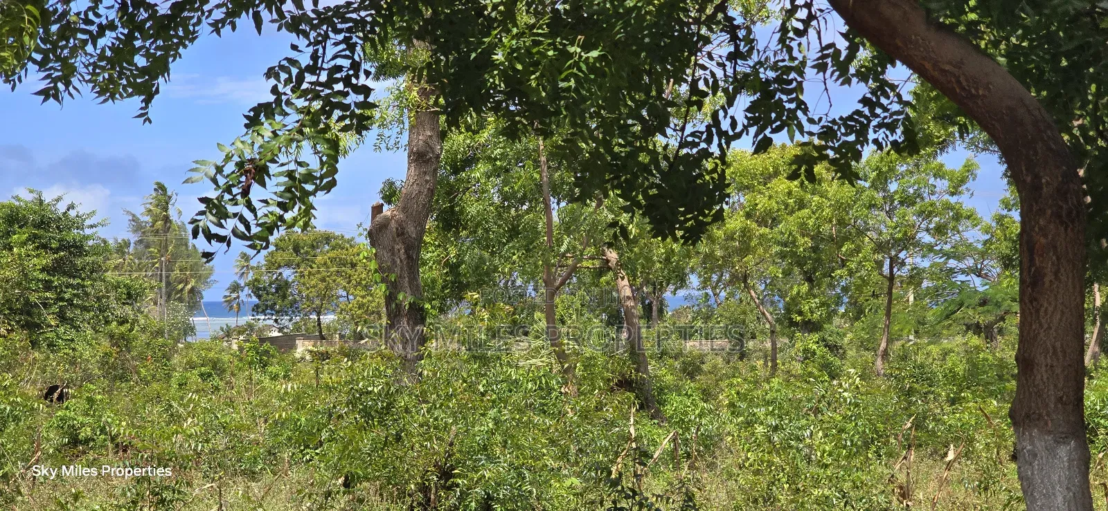 For Sale: Prime 7-Acres 2nd Row in Kikambala in Kikambala