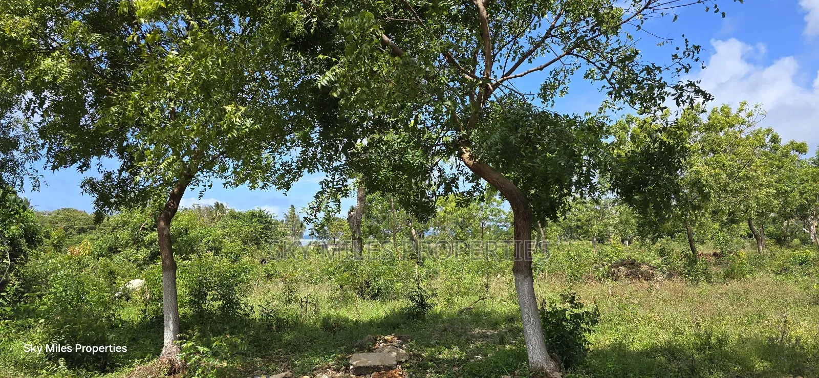 For Sale: Prime 7-Acres 2nd Row in Kikambala in Kikambala