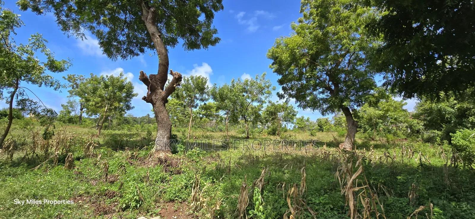 For Sale: Prime 7-Acres 2nd Row in Kikambala in Kikambala