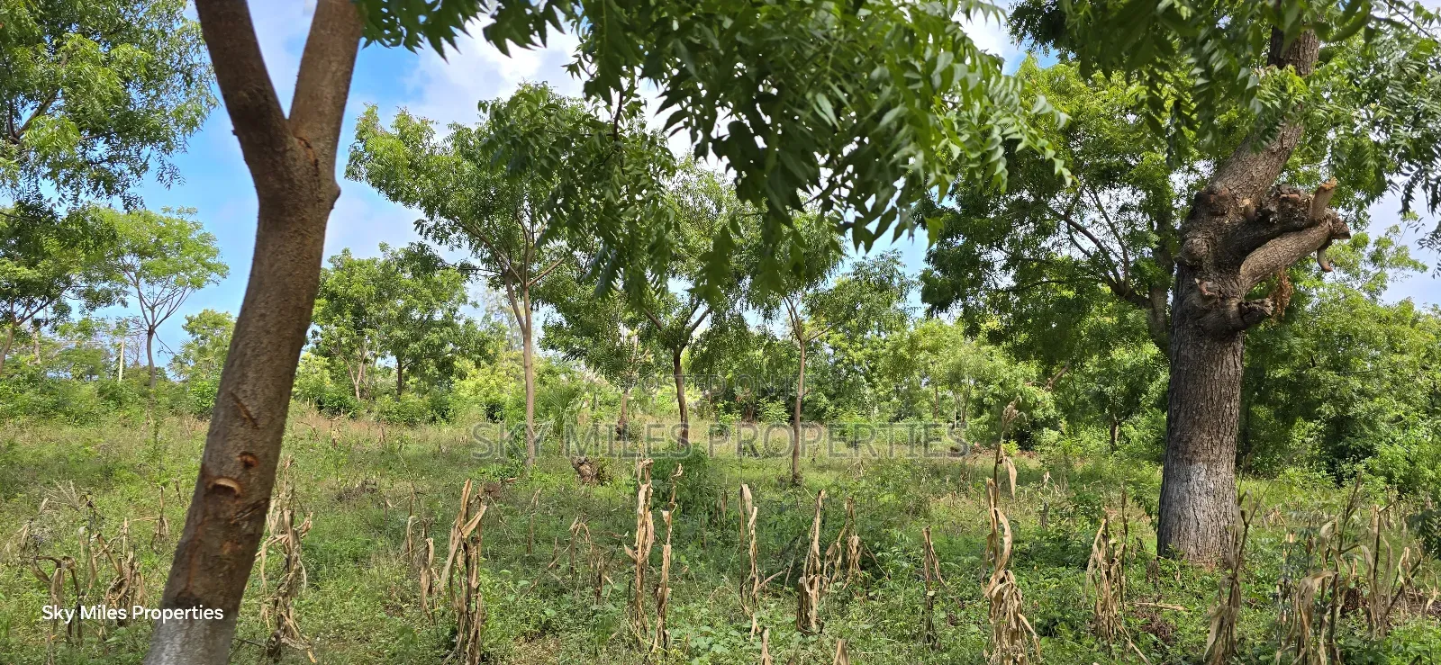 For Sale: Prime 7-Acres 2nd Row in Kikambala in Kikambala