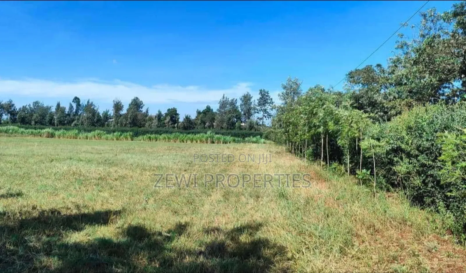 3 Acres Kibiko in Kibiku