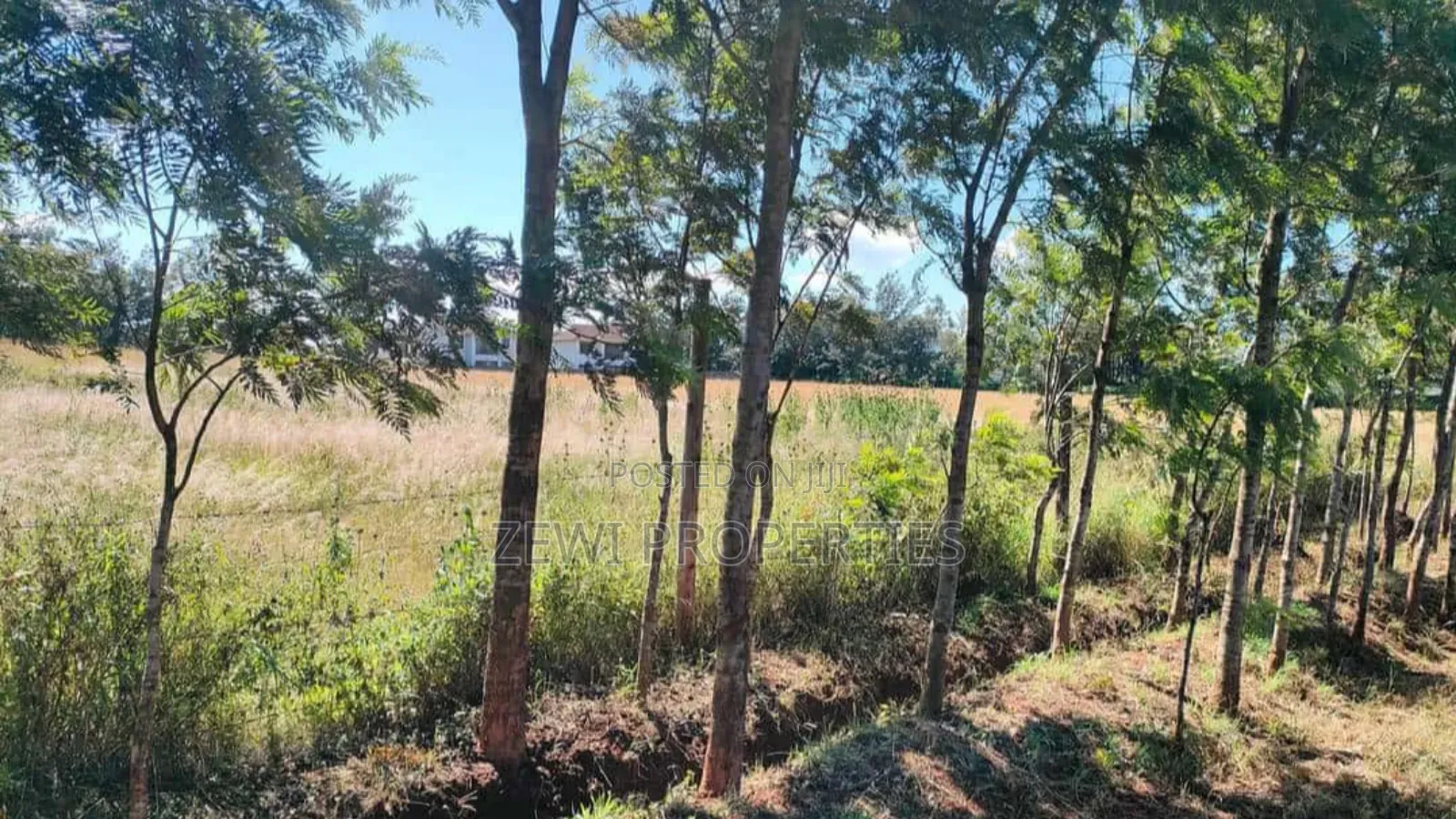 3 Acres Kibiko in Kibiku