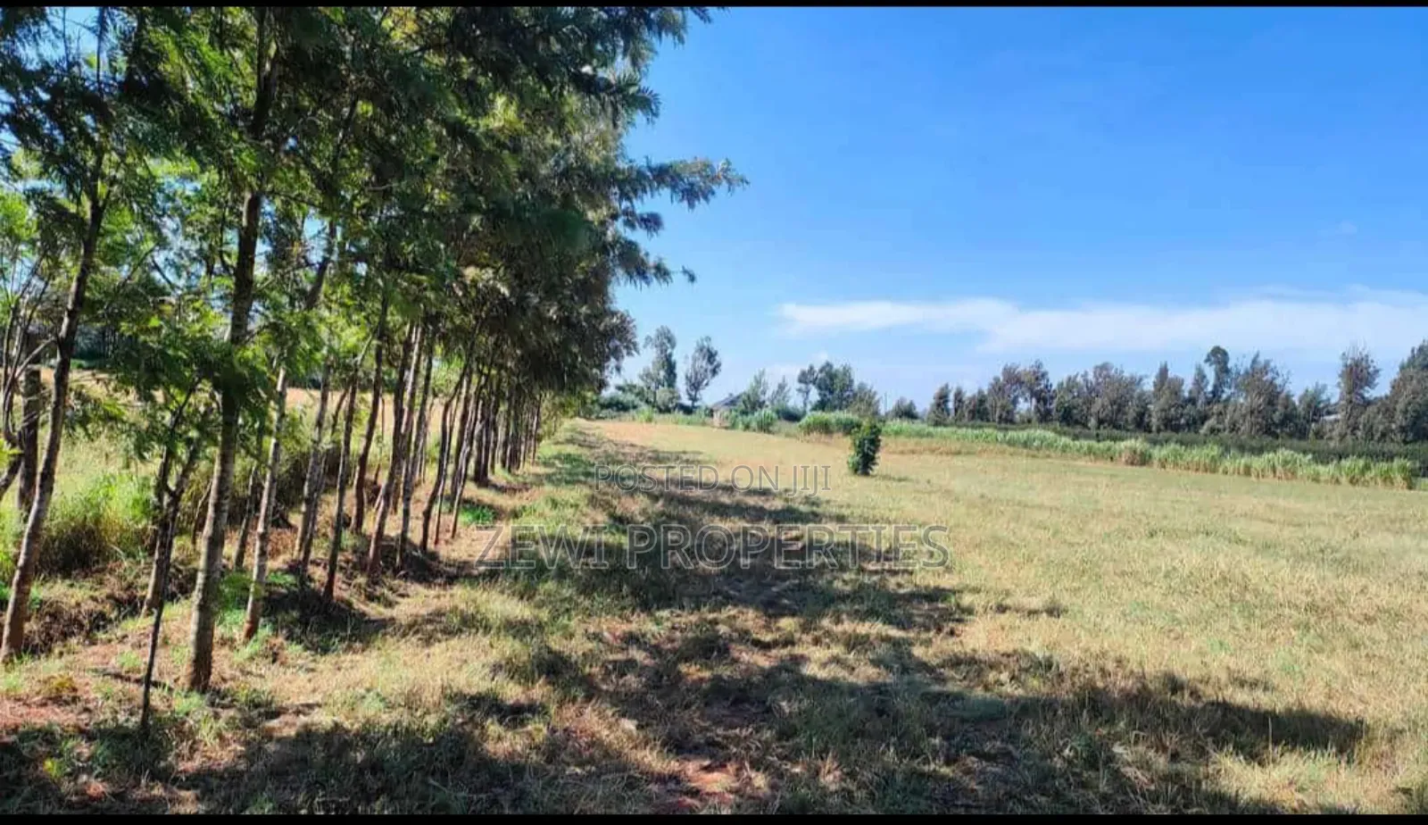 3 Acres Kibiko in Kibiku