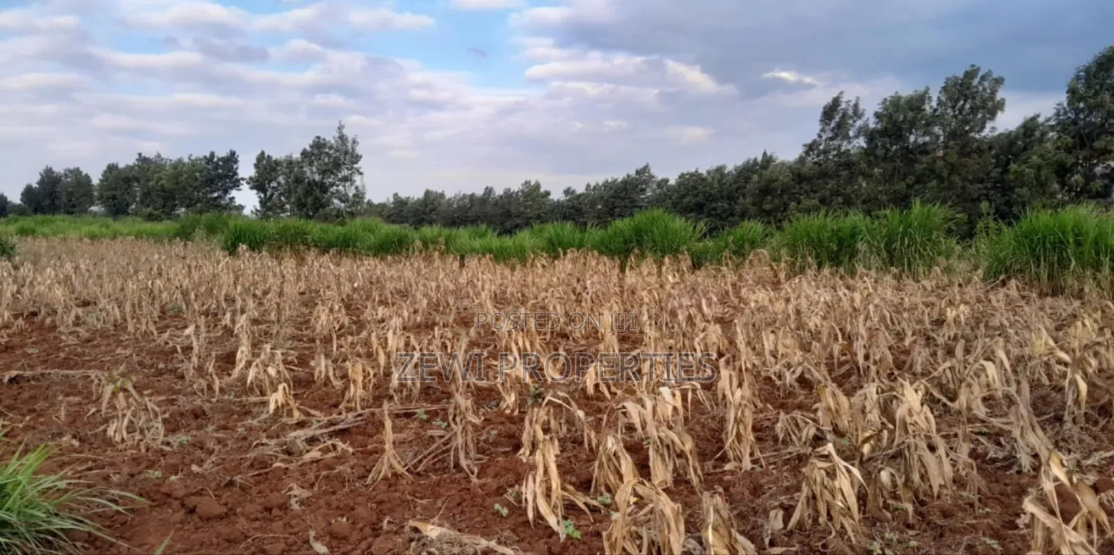 1/4 Acre Kibiko-Ngong in Ngong