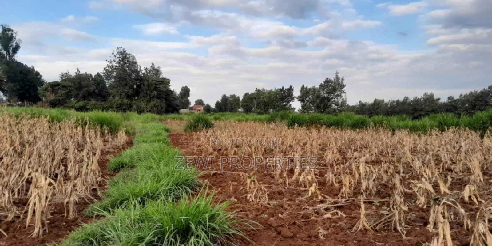 1/4 Acre Kibiko-Ngong in Ngong