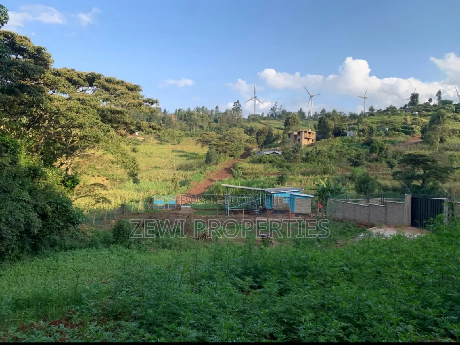50*100 Kibiko-Ngong in Ngong